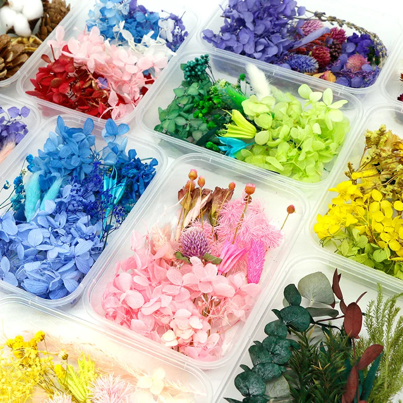 DIY настоящие натуральные сушеные цветы сухие растения хризантема искусственная