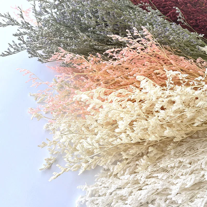 Натуральный Свежий сушеная Сохраненная Искусственные цветы Гипсофилы