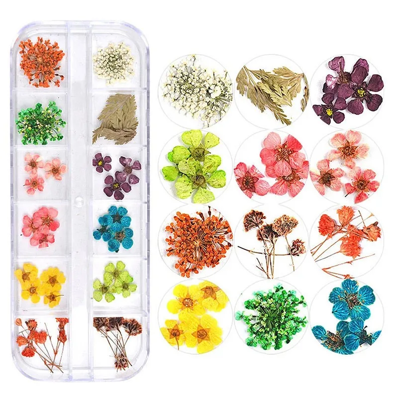 1box Five petals 1 коробка прессованный высушенный мини цветок сухие растения для эпоксидной смолы кулон из смолы ожерелье эпоксидная форма наполнение ювелирных изделий ремесло украшения - Цвет: 1box Five petals