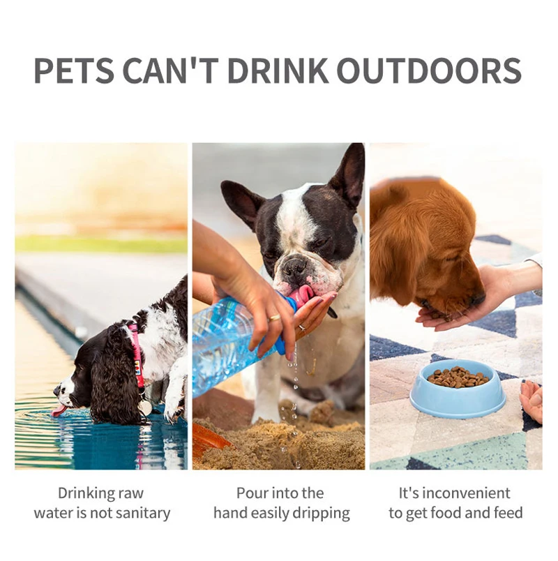 Will Spraying A Dog With Water Stop Barking