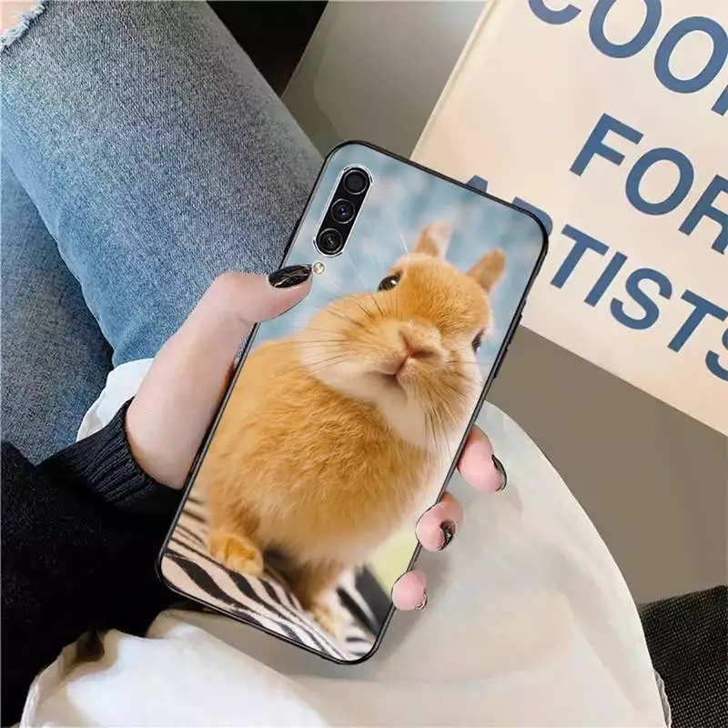

Rabbit animal high quality fashion Phone Case For Samsung galaxy S 9 10 20 A 10 21 30 31 40 50 51 71 s note 20 j 4 2018 plus