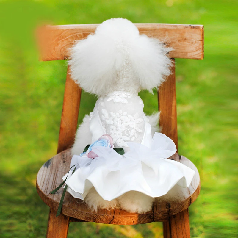 

Pet Clothing Dog Clothes Korean Version of Thick Pettiskirt Teddy Small Dog Evening Dress Wedding Dress