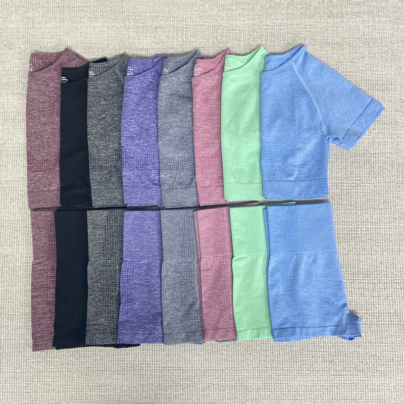 

6 Colors Yoga Set Sport suit Women Yoga clothing Seamless Short Sleeve Crop Top T-Shirt Leggings Summer Run Workout Gym Suit Set