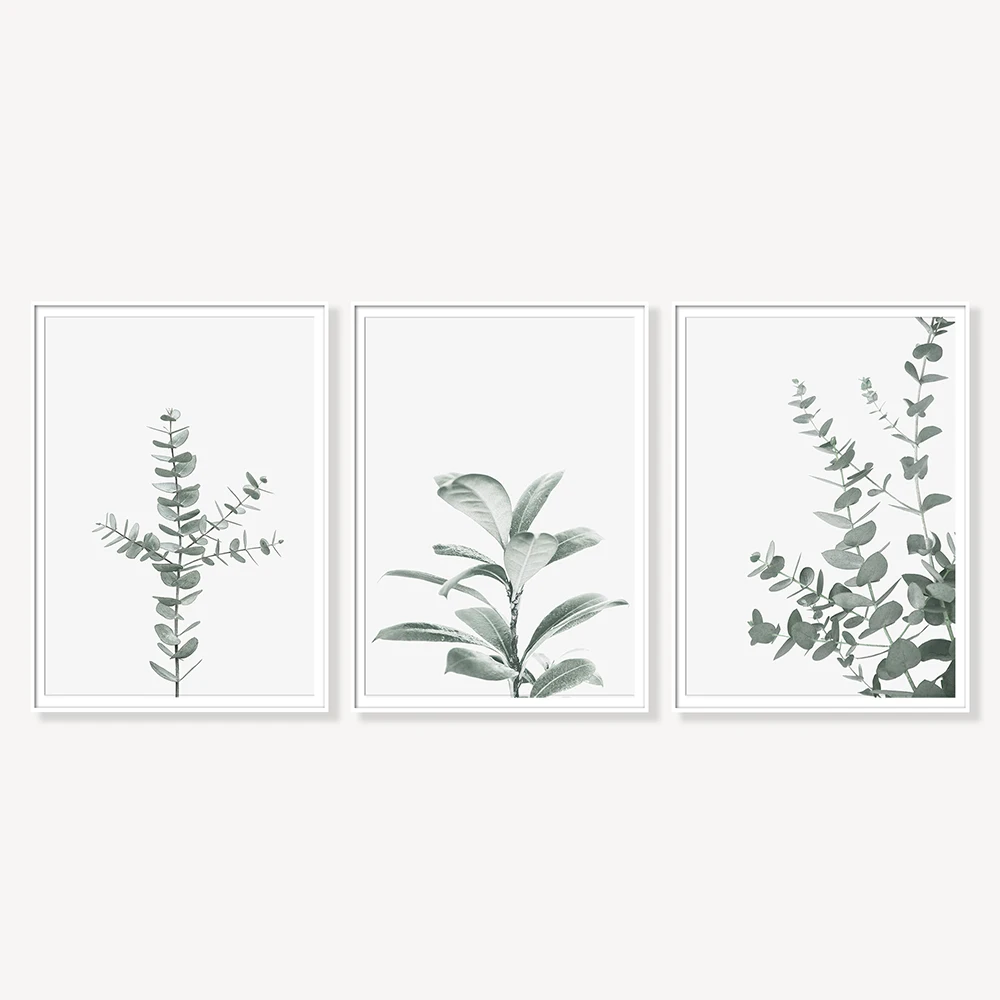 Botanical Eucalyptus Leaf Modern Canvas Paintings Green Posters and Prints Interior for Living Room Hallway Home Decor No Frame | Дом и сад
