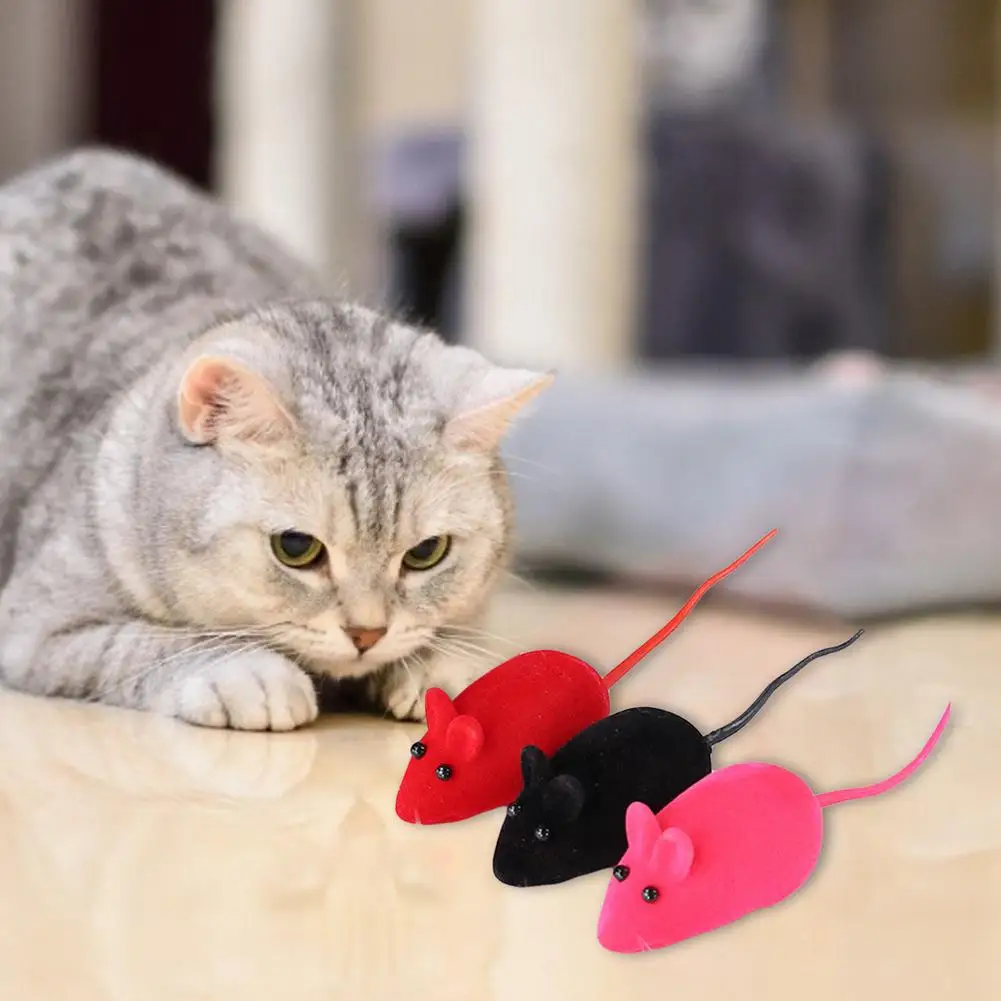 

Игрушка для домашних животных, звучащая мышь, практичная Изысканная ворсистая игрушка для кошек, набор из 50 игрушек для кошек, ворсистая Гол...