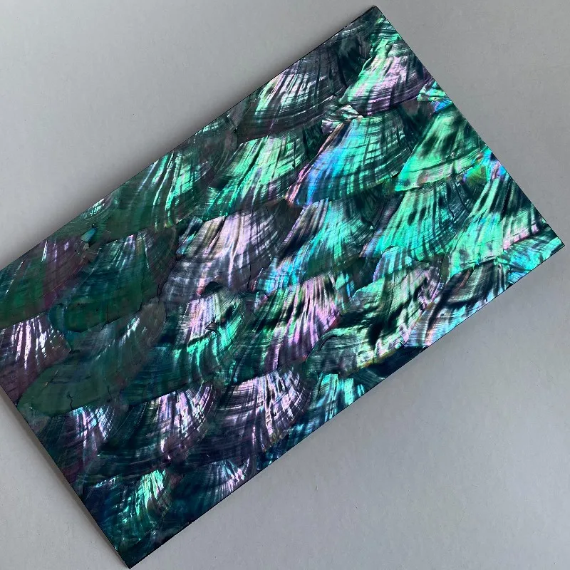 Веерообразная ракушка из черного фона без декора аксессуары для музыкальных