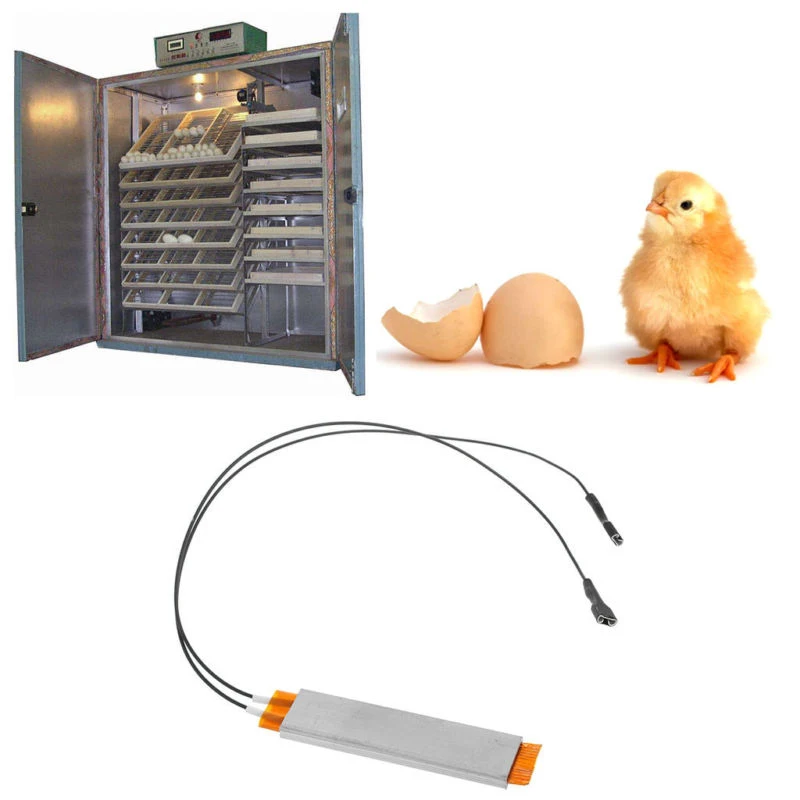 

1PC 220V Heating Incubator Heater Element Plate For Eggs Incubator Accessories for DIY egg Incubator Pet Tool Temperature