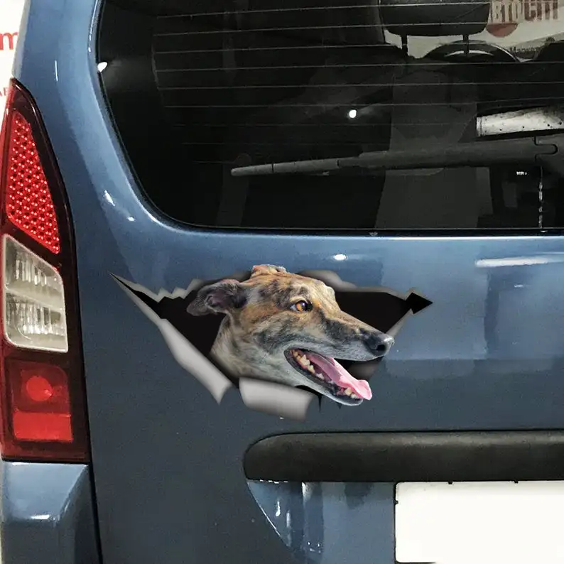 

2021 greyhound funny sticker, greyhound magnet, brindle greyhound decal