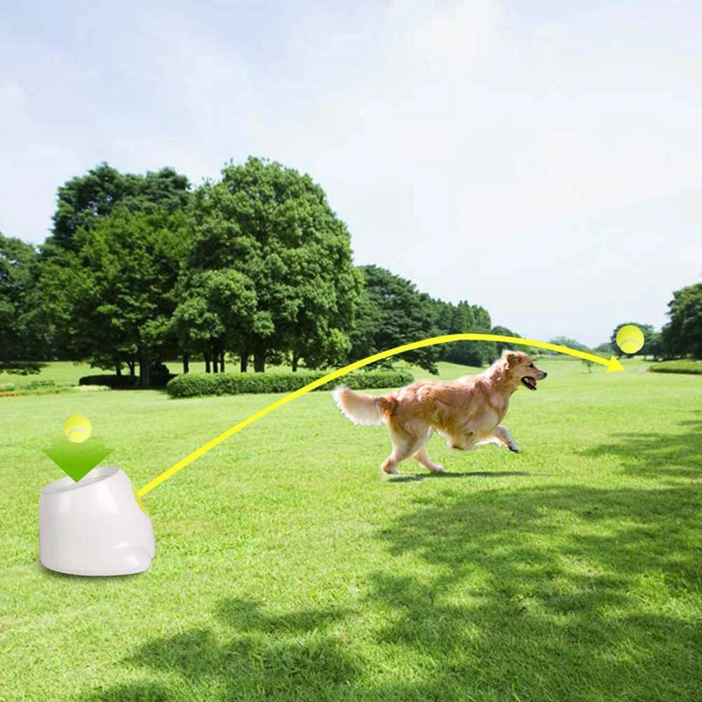 

Newly Automatic Interacting Toys Dog Tennis Ball Thrower Pet Play Training for Indoor Outdoor FIF66