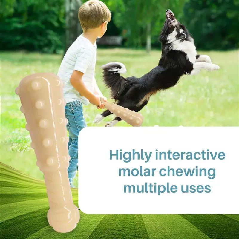 Anillo de entrenamiento para perros y mascotas, juguete flotante resistente a las mordeduras, juego interactivo al aire libre para cachorros-1