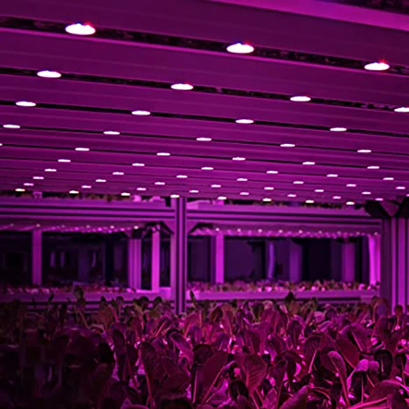 

LED Grow Light 120 Degree E27 Full Spectrum Plant Grow Lamp for Flower Hydroponic Seed Organic Plants 2Pcs