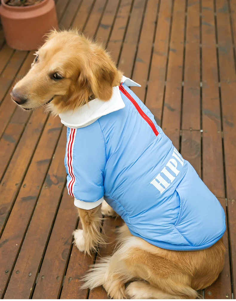 

Golden retriever dog clothes autumn and winter warm down jacket Labrador pet large dog Alassamo winter clothes