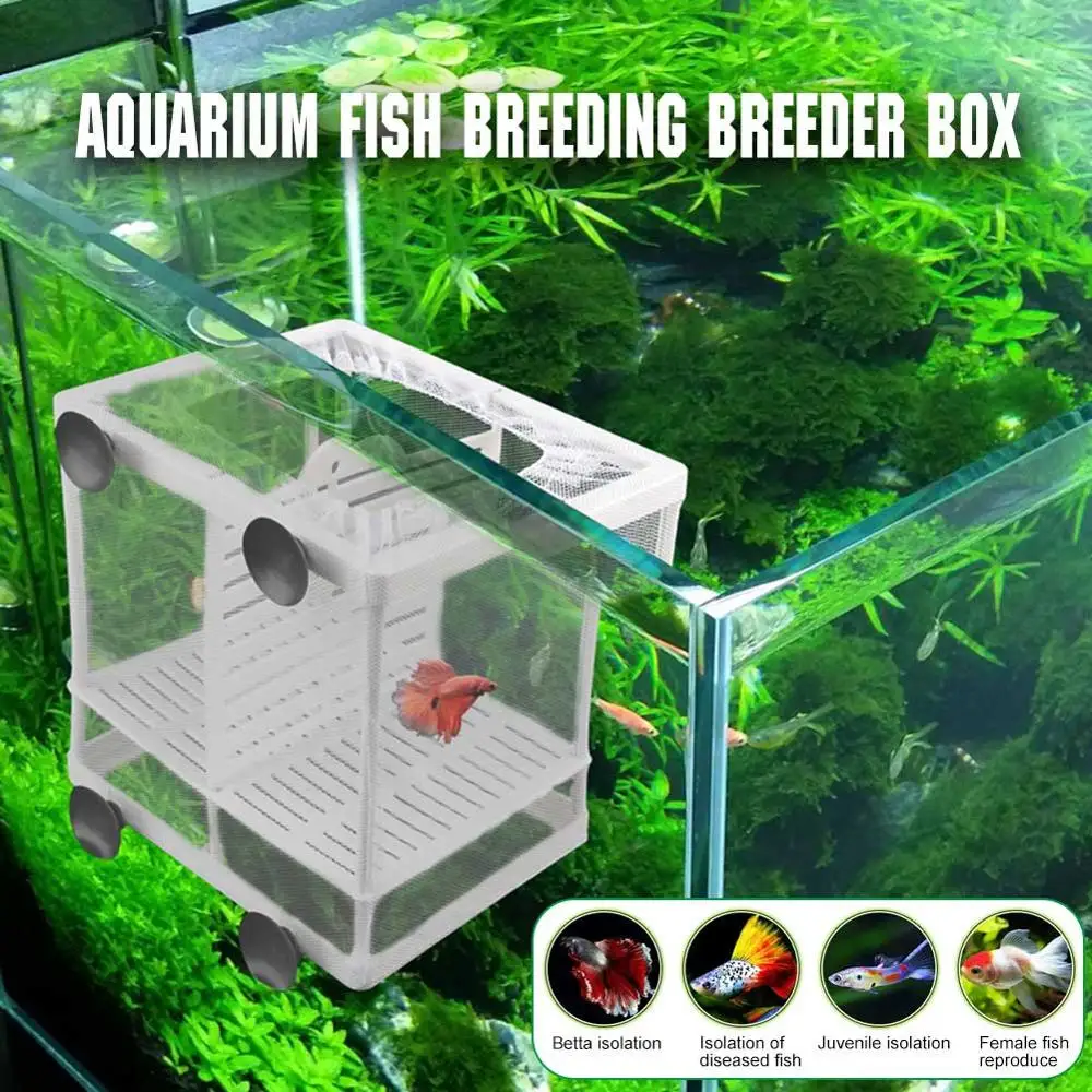 Для разведения рыб в аквариуме ящик для заводчиков детский инкубатор