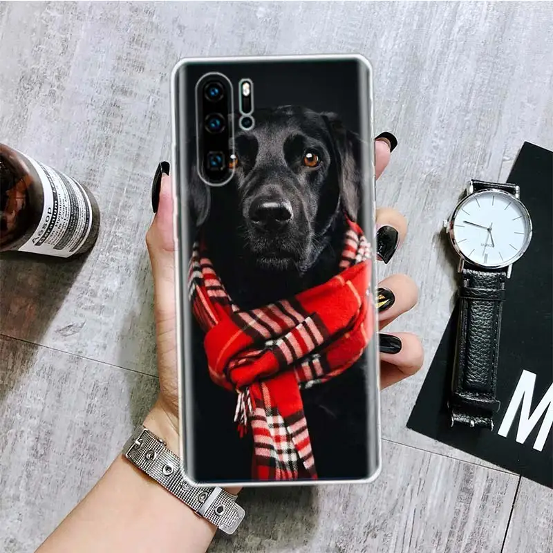 Чехол для телефона Huawei Honor 10 9 20 9X 8A 8X 8S Lite Pro Y5 Y6 Y7 Y9S P Smart Z 2019 2021 10i 20i | Мобильные