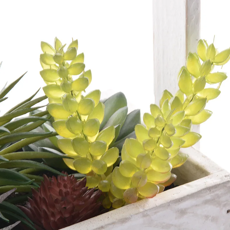 

Tub simulation plant potted balcony decoration simulation succulent bonsai desktop decoration decoration c