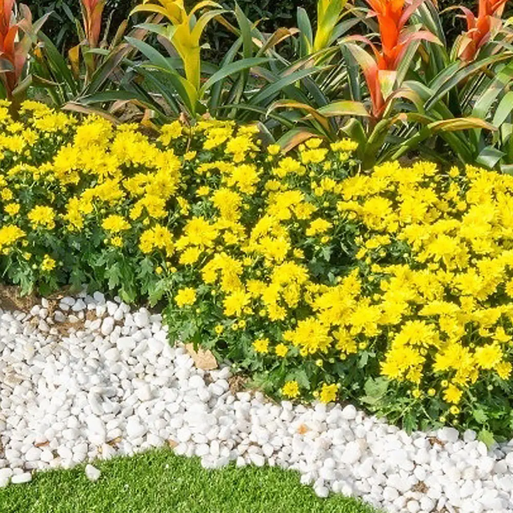 

200pcs Decorative Stones Polished Pebbles Fish Tank Stones Decors Resin Stones