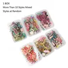 Настоящий прессованный цветок, листок, сушеный цветок маргаритки, смола, цветок, сухие, красота, наклейки для дизайна ногтей, эпоксидная форма, наполнители, изготовление ювелирных изделий