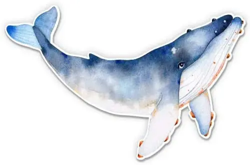 

Китовая акварель Красивая-5-дюймовая виниловая наклейка-для автомобильного ноутбука I-Pad-водонепроницаемая наклейка