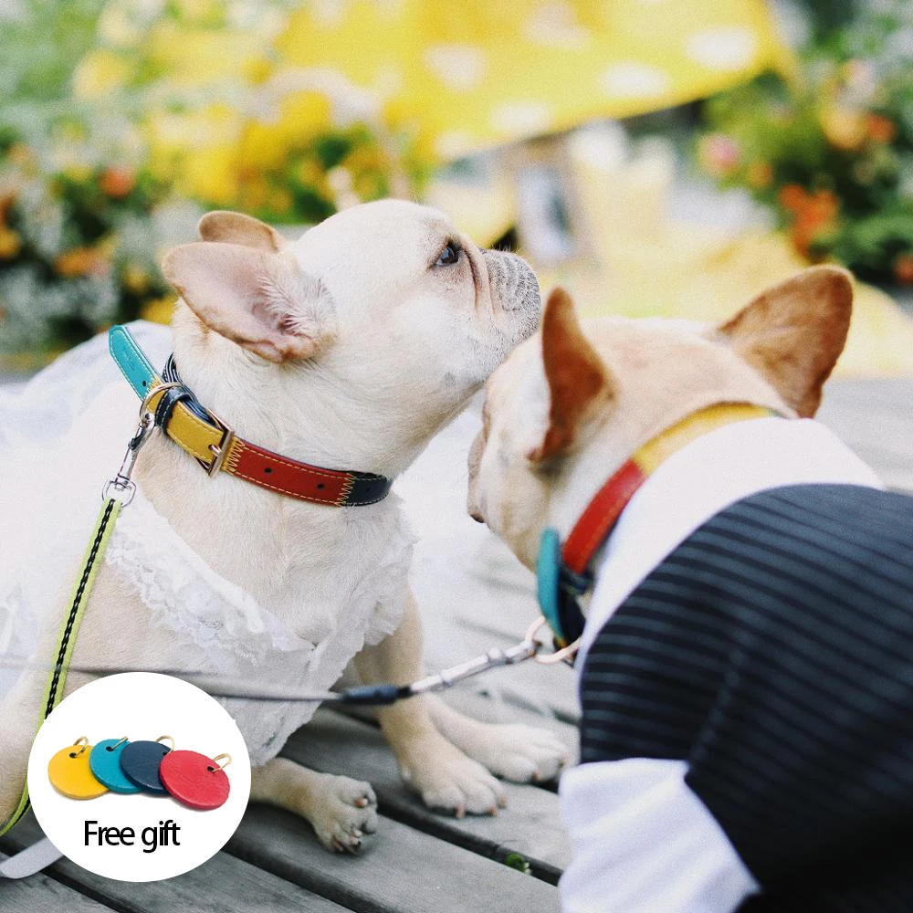 Ошейник для собак UFBemo кожаное ожерелье идентификационная бирка товары домашних