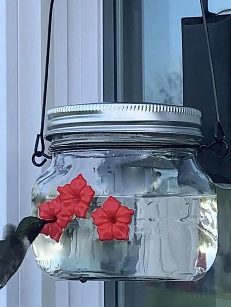 

Bird Water Feeder Bottle Hanging Hummingbird Feeder Garden Outdoor Plastic Flower Iron Hook Pet Bird Supplies