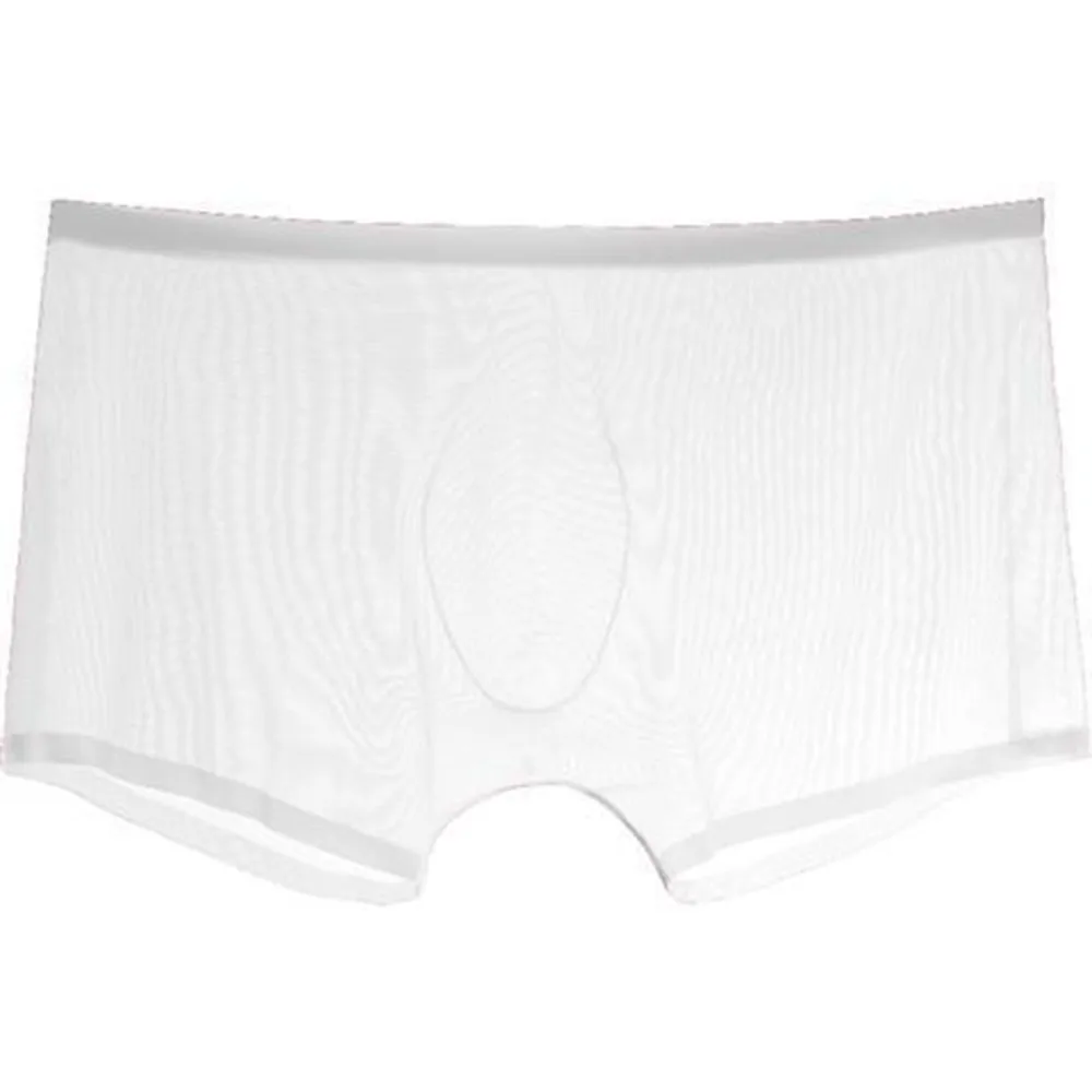Men's Underwear Transparent Boxers Bulge Ice Silk See Through Underpants Sexy Briefs Low Waist Panties Lingerie Intimates