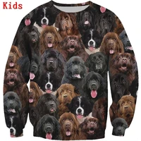you will have a bunch of newfoundlands 3d printed hoodies boy for girl long sleeve shirts kids animal sweatshirt