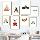 Красочные постеры в скандинавском стиле с изображением пчелы стрекозы мотыльков и животных, настенная живопись на холсте, настенные картины для гостиной, домашний декор