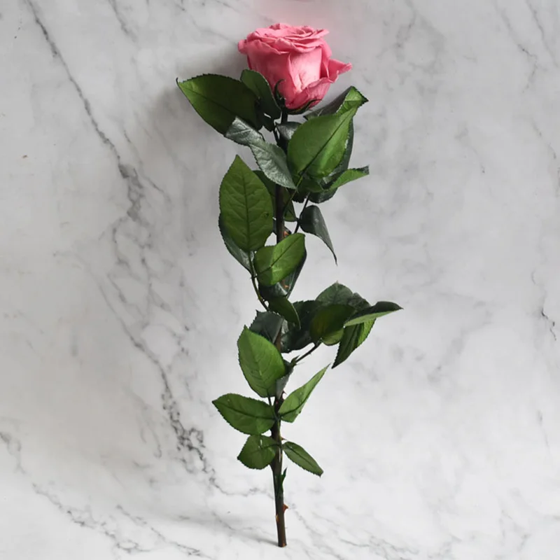 Rose Purple 4-5 см диаметр Сохраненная Роза Цветы Роза с 28 см стебель День матери DIY Свадьба вечная жизнь цветок материал подарок - Цвет: Rose Purple