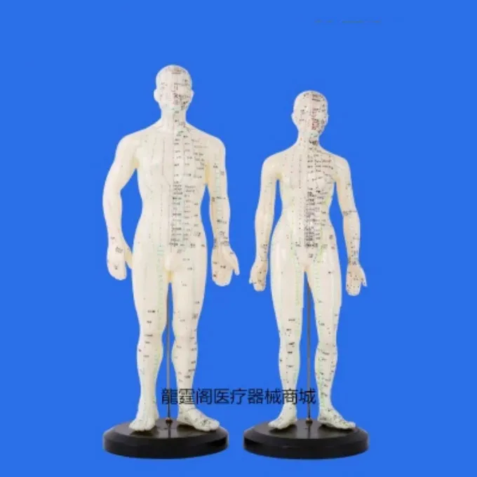 Акупунктура Мужская/Женская инструкция по эксплуатации 50 см/48 см|Брекеты и