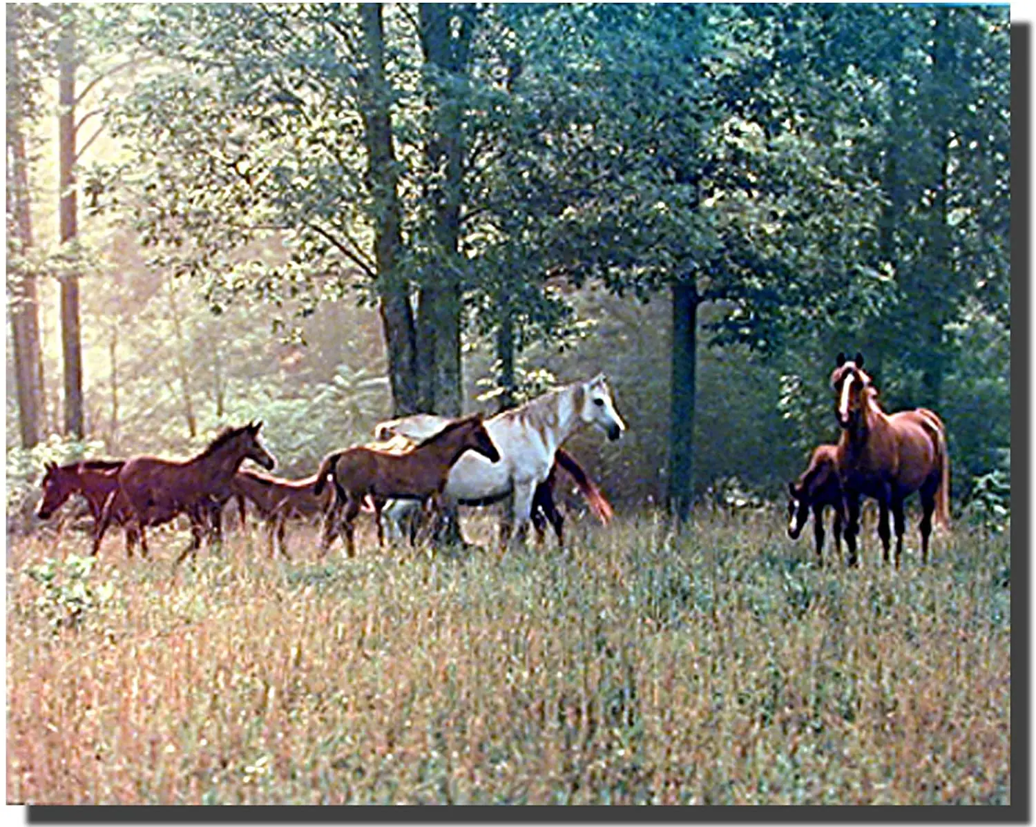 

Настенный декоративный плакат с изображением лошадей в пастбище, животных на ферме, Художественная печать
