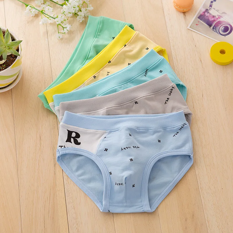 

Kids Briefs For Boy Cartoon Children Underwear 2-5-7-9-11 Years Kids Briefs Cotton Shorts Youth Sexy Panties 4/pcs