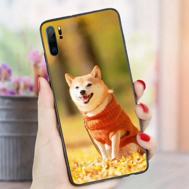 

Animal Cute dog Akita Phone Case For Huawei Honor 7C 7A 8X 8A 9 10 10i Lite 20 NOVA 3i 3e