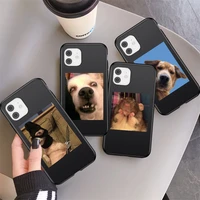 for iphone 11 12 13 pro max cute funny animal pattern black phone case xr 12 13 mini xs max x 7 8 plus soft cartoon back cover