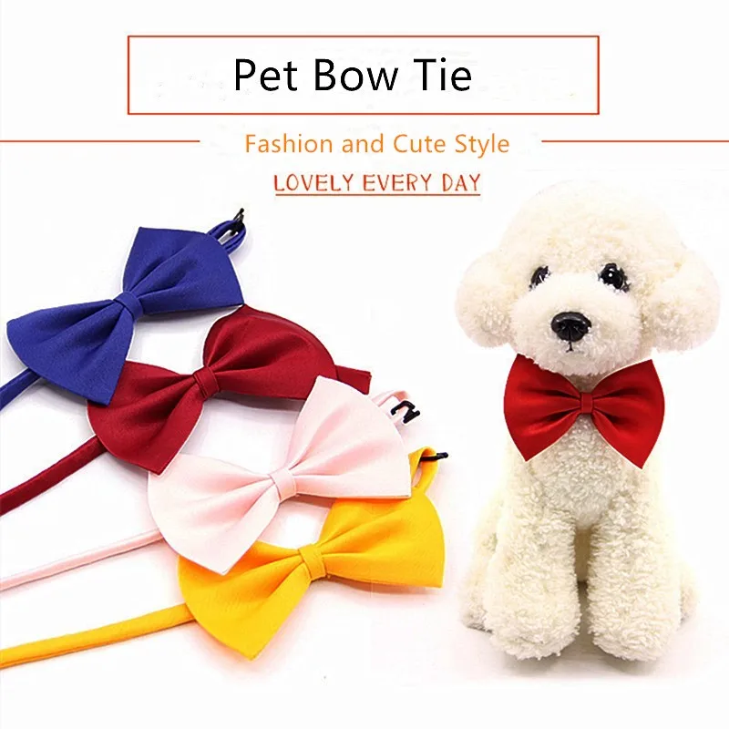 2021 Новый собаку галстук бабочка для кота отечественный Регулируемый Цепочки и