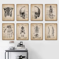 anatomy skeleton foot hand spine skull vintage art canvas painting nordic posters and prints wall pictures doctors office decor