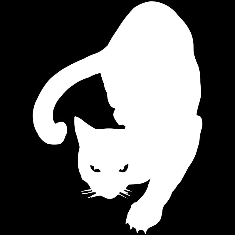 EBDECAL виниловые Светоотражающие лазерные светящиеся наклейки для автомобиля