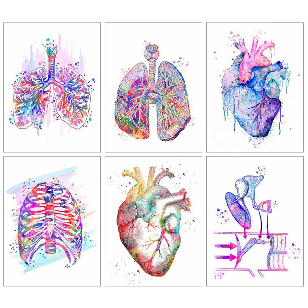

HUACAN Diamond Painting Full Drill Human Organs Mosaic Anatomy Gifts For Doctors Embroidery Handmade Gift