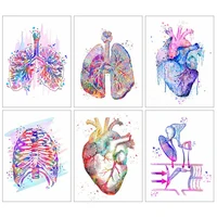 huacan diamond painting full drill human organs mosaic anatomy gifts for doctors embroidery handmade gift