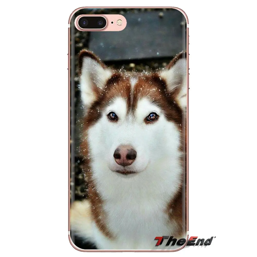 For Huawei P Smart Y6 P8 P9 P10 Plus Nova P20 Lite Pro Mini 2017 SLA-L02 SLA-L22 2i Transparent TPU Cases Covers husky puppy dog |