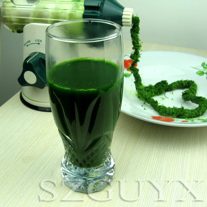 LEXEN manual juicer pomegranate ginger wheat grass celery juice seedlings vegetable household hand shaker machine | Инструменты