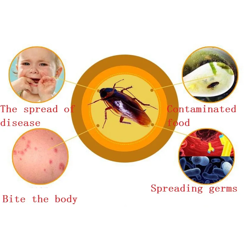 5 шт. инсектицид лекарство для постельных клопов порошок блох и лупы животных