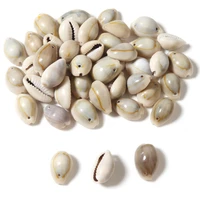 apx 110pcslot sea shell cowrie cowry charm beads beach jewelry accessories for women sea shells diy earrings bracelet necklace