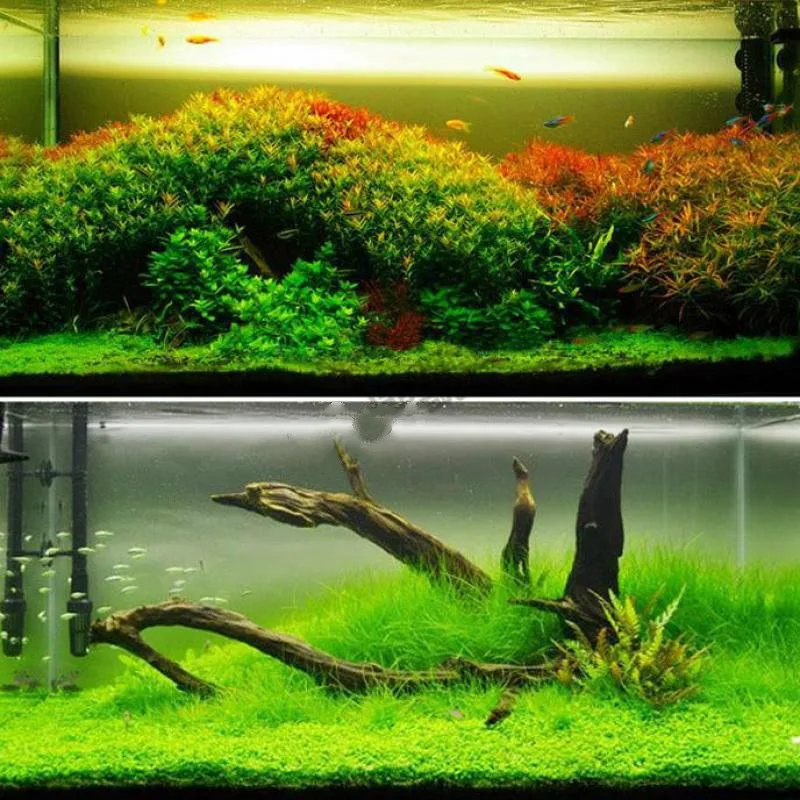 

100g Water-Fertilizer Concentrated Aquatic Plant Slow-Release Type Aquarium Fish Tank Concentrated Grass Root Fertilizer