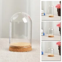 Mini Glass Bottle With Round Transparent Top Cover Cork Base Vase Desktop Decoration DIY Storage Container 8*10cm/8*12cm/8*18cm