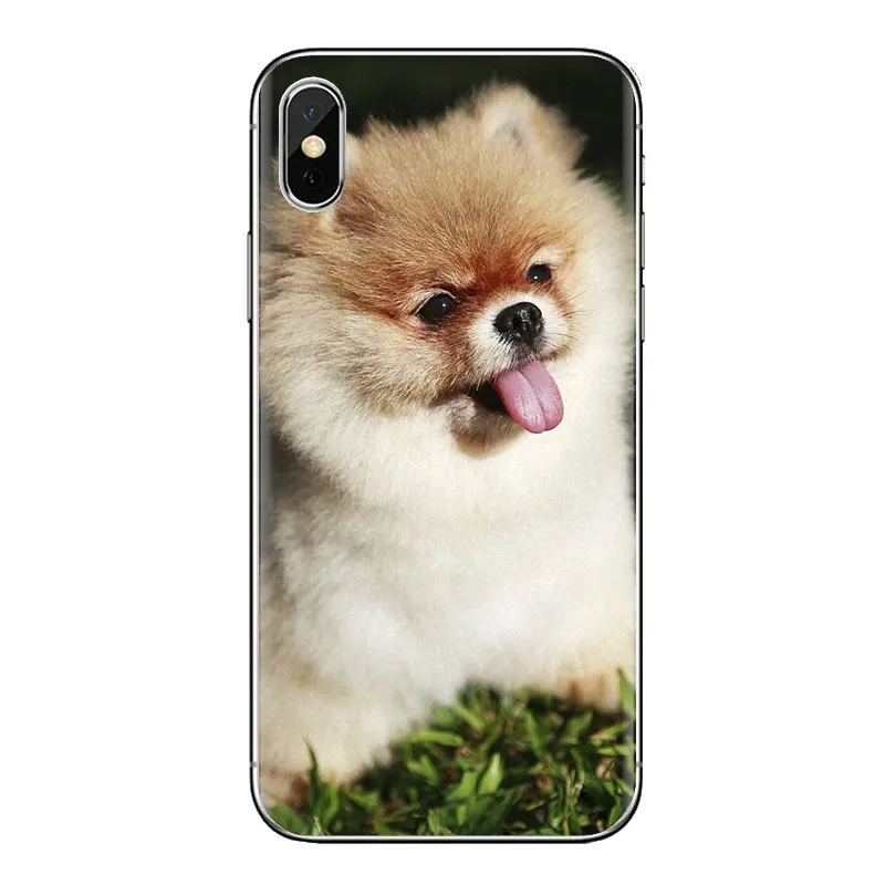 For Sony Xperia Z Z1 Z2 Z3 Z5 compact M2 M4 M5 E3 T3 XA Aqua LG G4 G5 G3 G2 Mini Cell Phone Case Cover Funny cute Pomeranian dog |