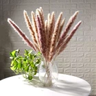 15 шт. маленькие тростниковые шлейфы, букет натуральных сушеных цветов, пампасы, собака, хвост, трава, нефраммиты, растения, свадьба, букет, домашний сад, вечеринка