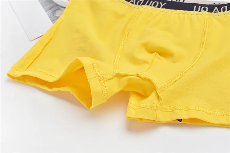 4 шт./партия нижнее белье для мальчиков 2019 хлопковые трусы-боксеры от 2 до 10 лет enfant