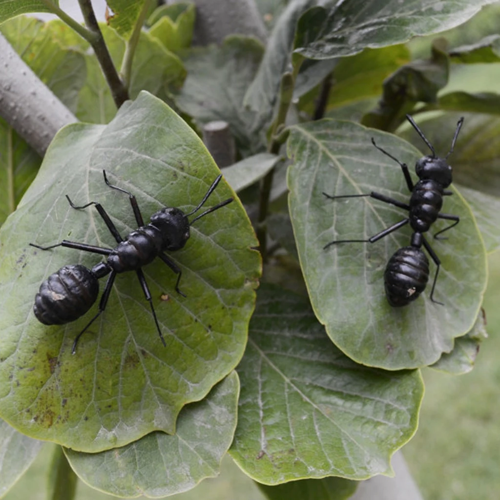Истинное природное украшение в форме насекомых магнит на холодильник дисплей