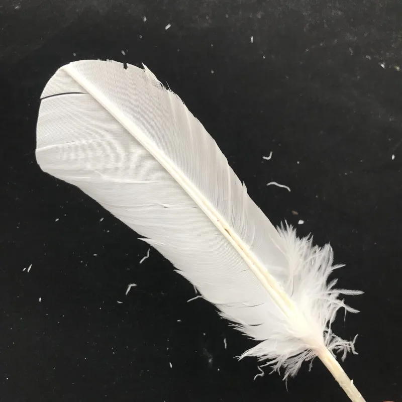 Бесплатная доставка 50 шт./фотосессия красивые белые перья индейки