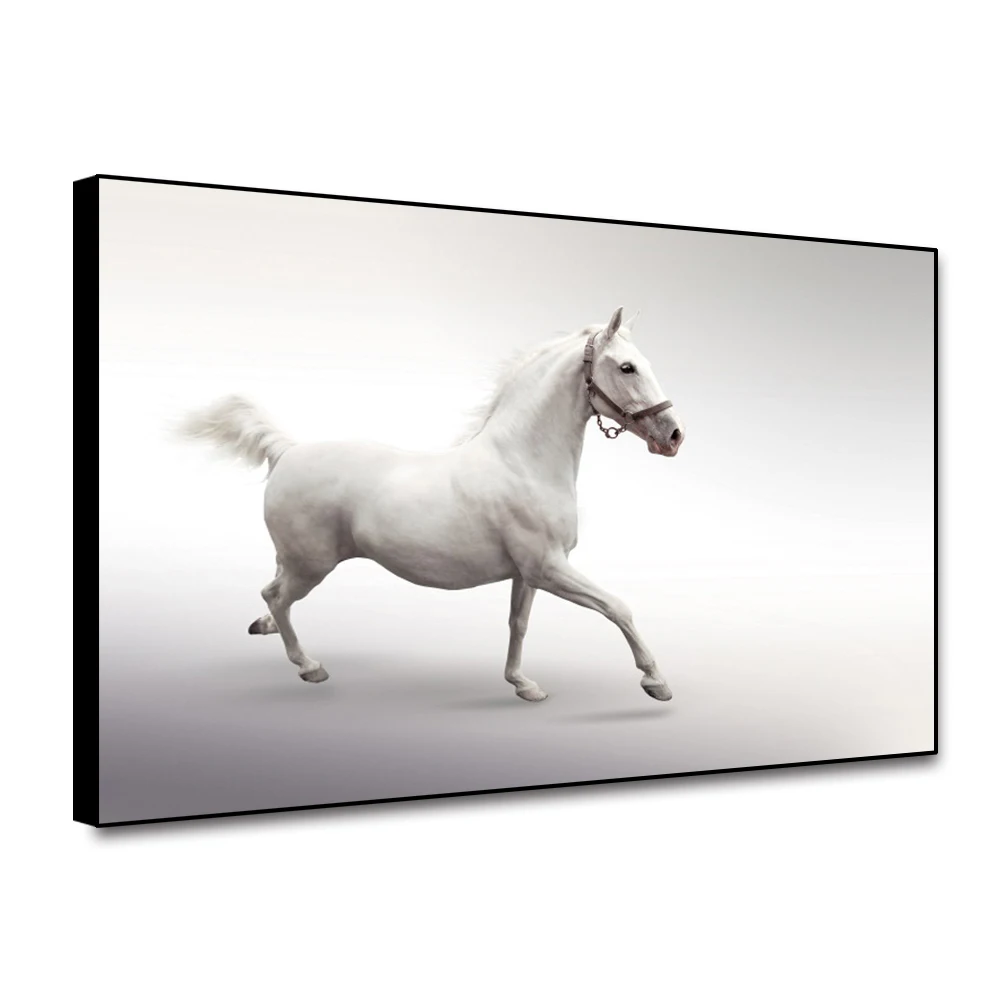 

White Horse Modern Fashion Canvas Painting Salon Poster Prints Nordic Wall Art Picture Living Room Home Decor Indoor Mural